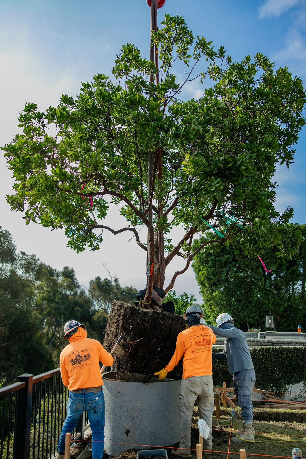 Heavy Lifts, Precise Placement: Solving Complex Jobsites with the Right Equipment