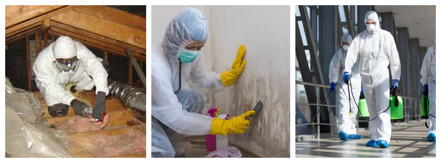 COVID-19 Sanitize Response Site Consultation Services - PRL Co