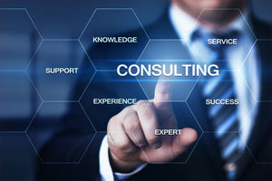 Consulting Services