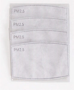 PM2.5 Carbon Activate Filters